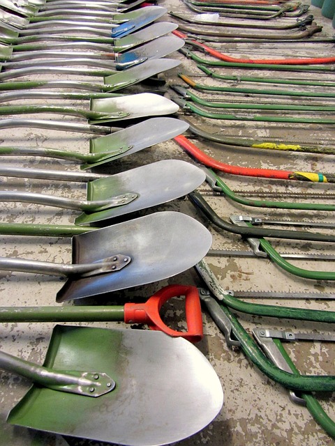 shovel, saw, tool